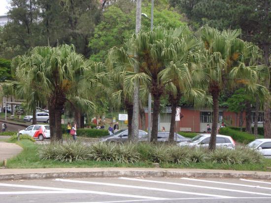 Museu Dinâmico De Ciência E Tecnologia